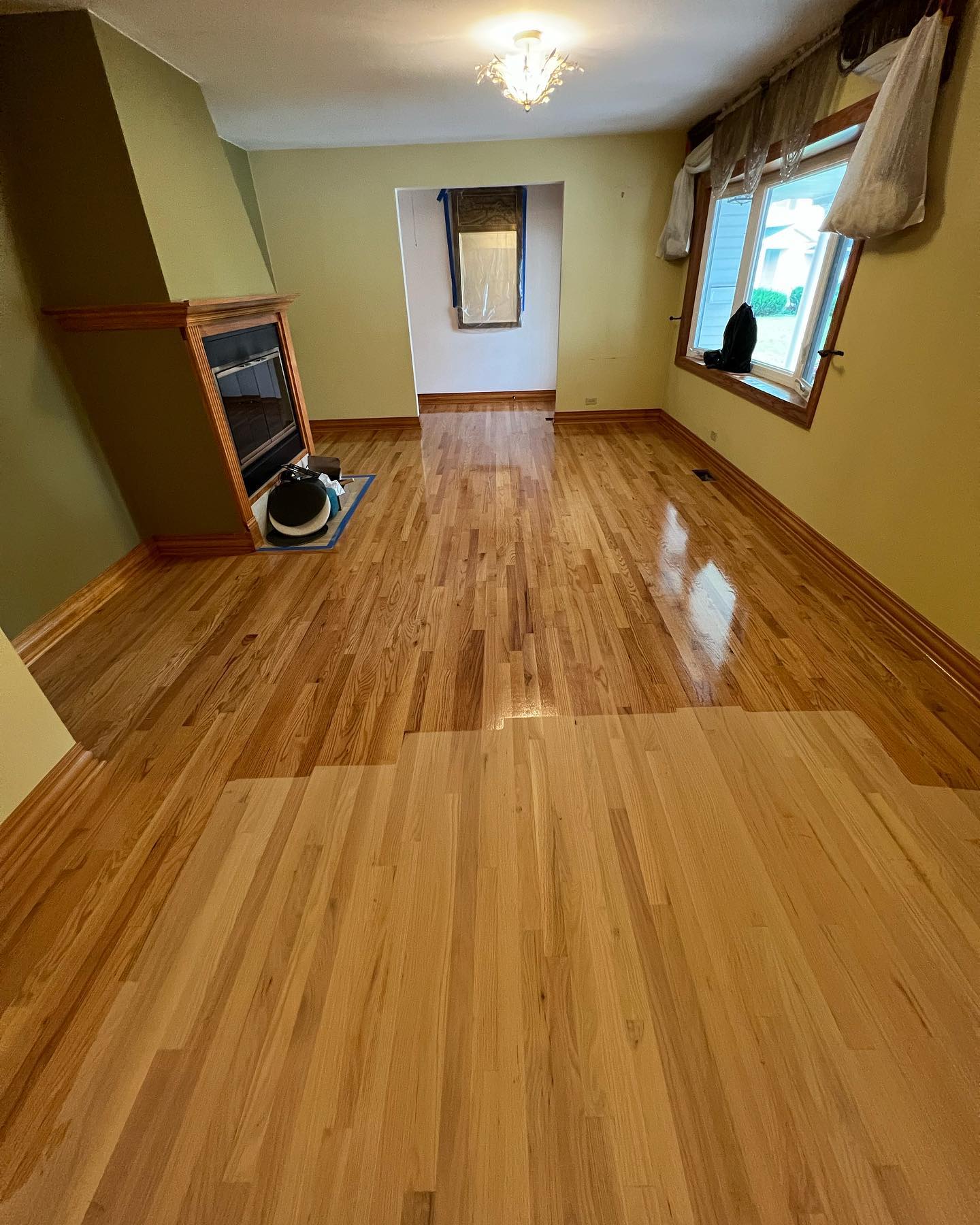 A long view of a room with newly refinished hardwood flooring in Philadelphia, displaying the tenth project's glossy surface and light wood tones against a backdrop of olive walls and traditional decor. The floor's reflection adds depth to the well-lit, serene space.